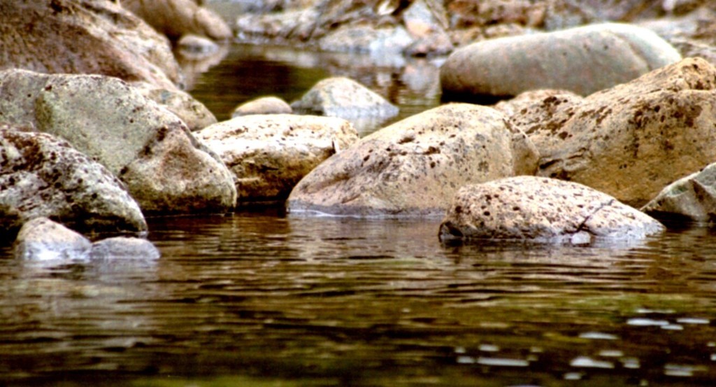 Rivière bleue